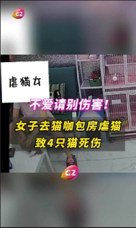 游戏专题 第4页